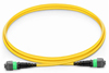 1m (3ft), 12 Fibers, MTP® APC Female Standard to MTP® APC Female Standard, Single Mode (OS2), LSZH, 0.35dB Max, Type B